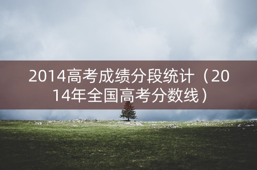 2014高考成绩分段统计（2014年全国高考分数线）