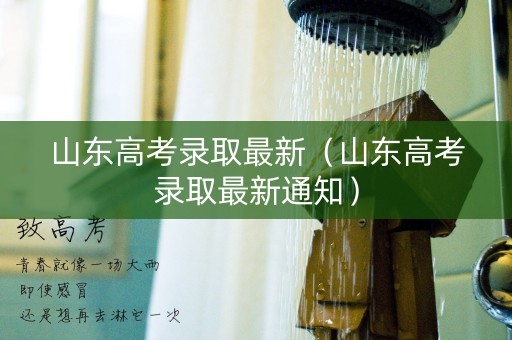 山东高考录取最新（山东高考录取最新通知）