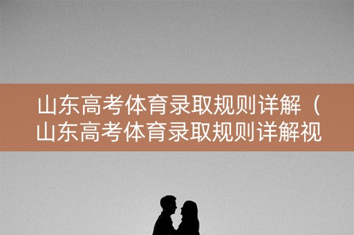 山东高考体育录取规则详解（山东高考体育录取规则详解视频）