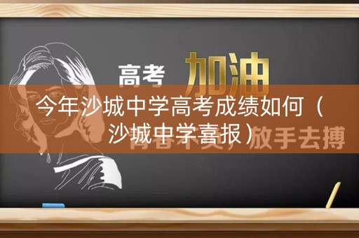 今年沙城中学高考成绩如何（沙城中学喜报）