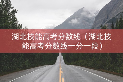 湖北技能高考分数线（湖北技能高考分数线一分一段）
