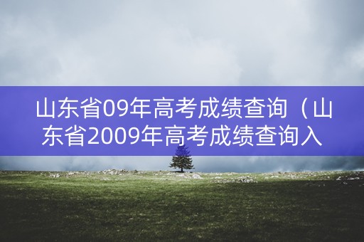 山东省09年高考成绩查询（山东省2009年高考成绩查询入口）