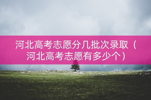 河北高考志愿分几批次录取（河北高考志愿有多少个）