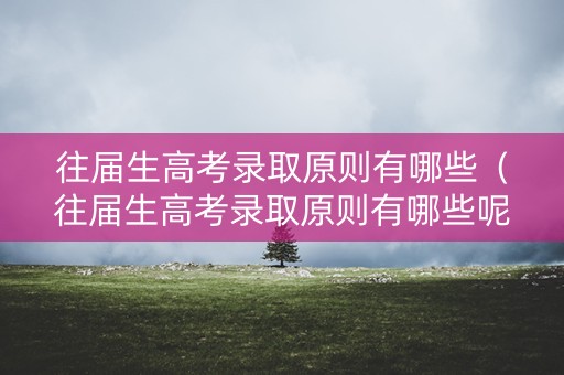 往届生高考录取原则有哪些（往届生高考录取原则有哪些呢）