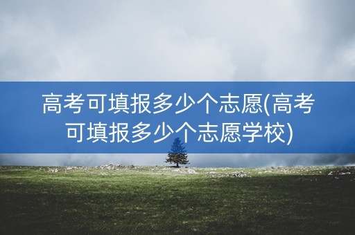 高考可填报多少个志愿(高考可填报多少个志愿学校)