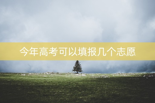 今年高考可以填报几个志愿