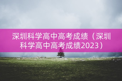 深圳科学高中高考成绩（深圳科学高中高考成绩2023）