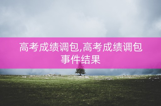 高考成绩调包,高考成绩调包事件结果