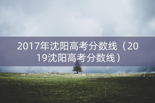 2017年沈阳高考分数线（2019沈阳高考分数线）