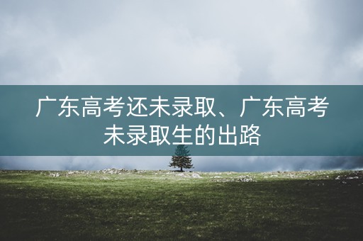 广东高考还未录取、广东高考未录取生的出路