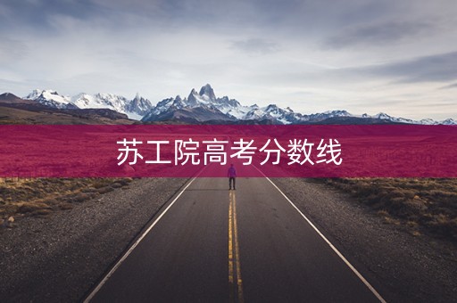 苏工院高考分数线