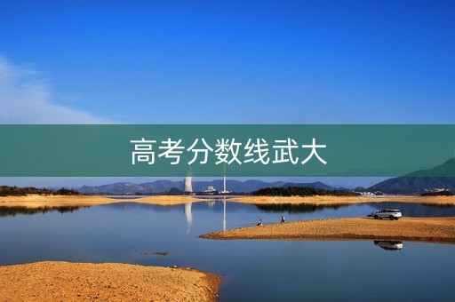 高考分数线武大