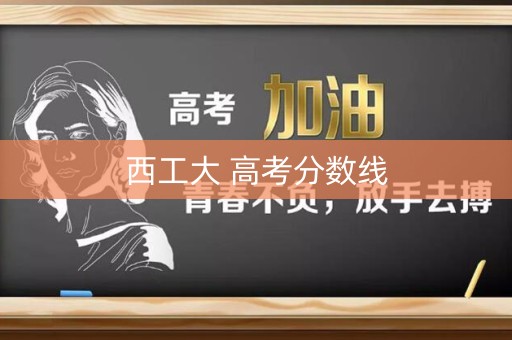 西工大 高考分数线