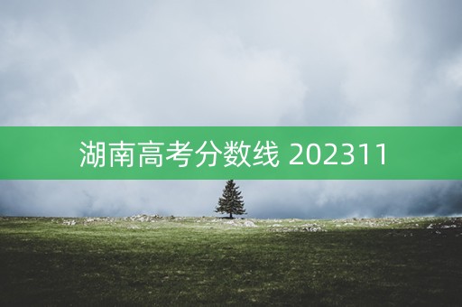 湖南高考分数线 202311
