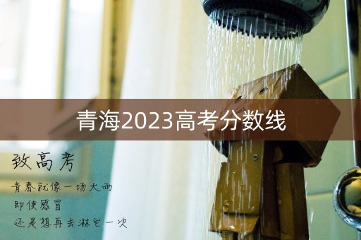 青海2023高考分数线