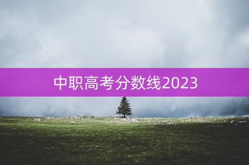 中职高考分数线2023