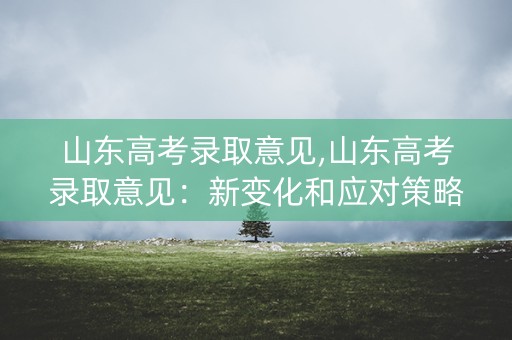 山东高考录取意见,山东高考录取意见：新变化和应对策略