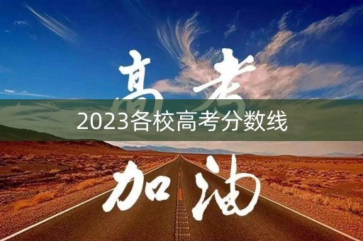 2023各校高考分数线