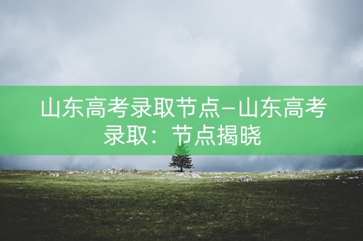 山东高考录取节点—山东高考录取：节点揭晓