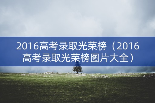 2016高考录取光荣榜（2016高考录取光荣榜图片大全）