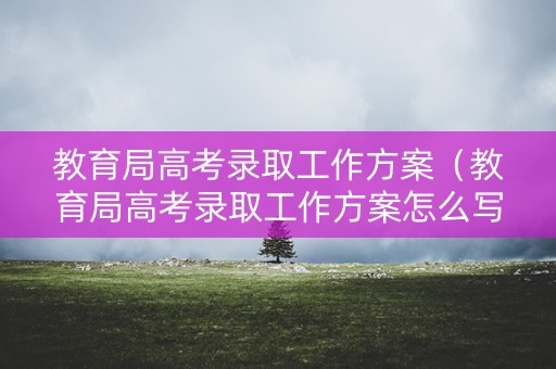 教育局高考录取工作方案（教育局高考录取工作方案怎么写）