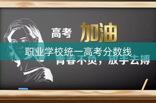 职业学校统一高考分数线