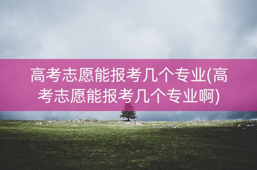 高考志愿能报考几个专业(高考志愿能报考几个专业啊)