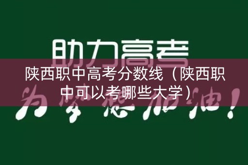 陕西职中高考分数线（陕西职中可以考哪些大学）