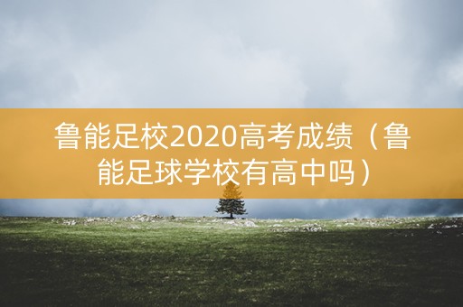 鲁能足校2020高考成绩（鲁能足球学校有高中吗）