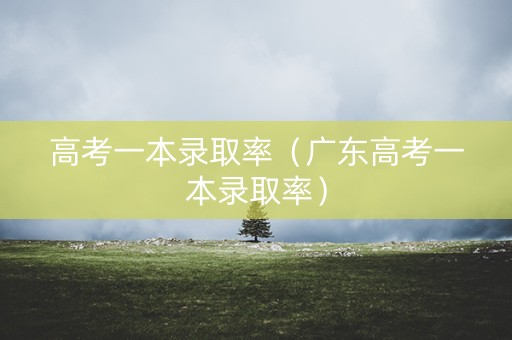 高考一本录取率（广东高考一本录取率）