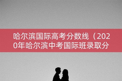 哈尔滨国际高考分数线（2020年哈尔滨中考国际班录取分数线）