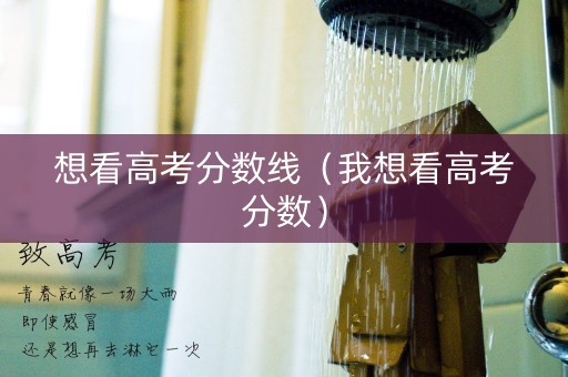 想看高考分数线（我想看高考分数）