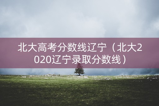 北大高考分数线辽宁（北大2020辽宁录取分数线）