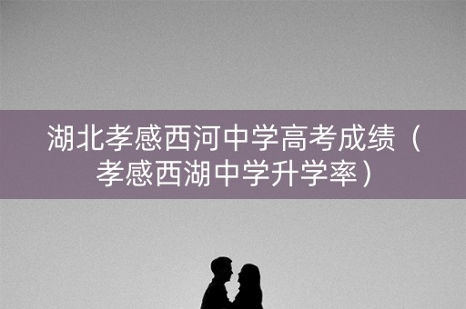 湖北孝感西河中学高考成绩（孝感西湖中学升学率）