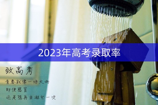 2023年高考录取率