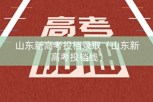 山东新高考投档录取（山东新高考投档线）