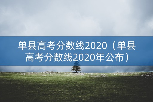 单县高考分数线2020（单县高考分数线2020年公布）