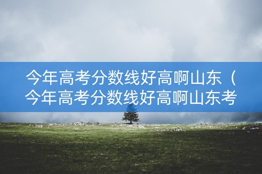 今年高考分数线好高啊山东（今年高考分数线好高啊山东考生）
