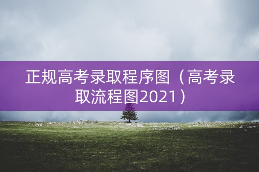 正规高考录取程序图（高考录取流程图2021）