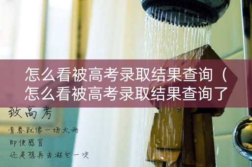 怎么看被高考录取结果查询（怎么看被高考录取结果查询了没）