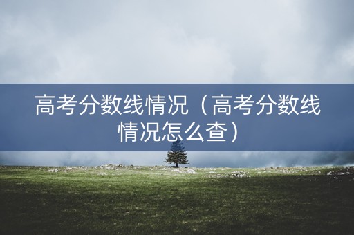 高考分数线情况（高考分数线情况怎么查）