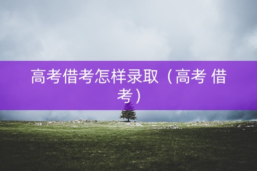 高考借考怎样录取（高考 借考）