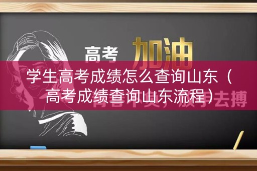 学生高考成绩怎么查询山东（高考成绩查询山东流程）