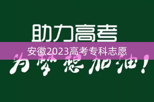 安徽2023高考专科志愿