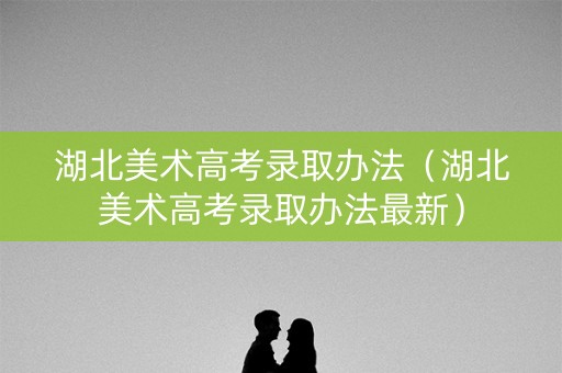 湖北美术高考录取办法（湖北美术高考录取办法最新）