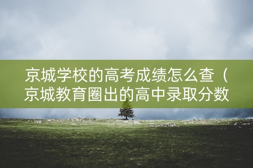 京城学校的高考成绩怎么查（京城教育圈出的高中录取分数线准吗）