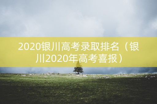 2020银川高考录取排名（银川2020年高考喜报）