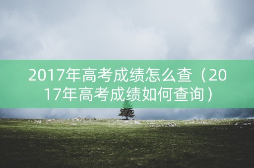 2017年高考成绩怎么查（2017年高考成绩如何查询）