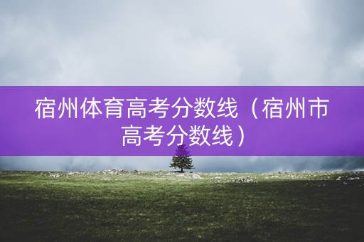 宿州体育高考分数线（宿州市高考分数线）