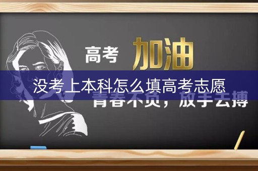 没考上本科怎么填高考志愿